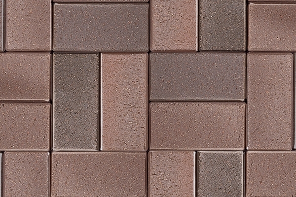 0970-Kiel-heide-bunt