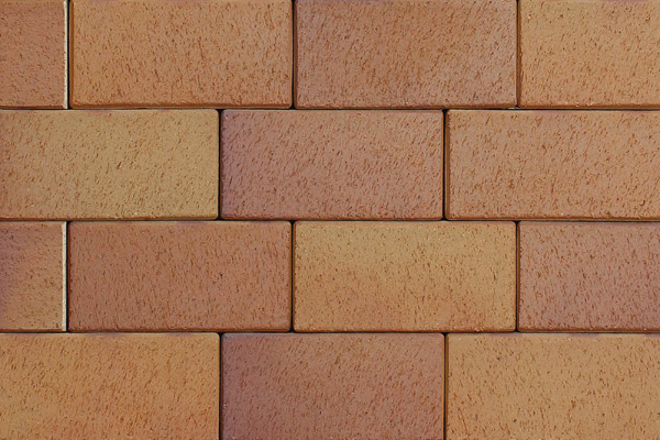 9316-herbstlaub-hell-geflammt