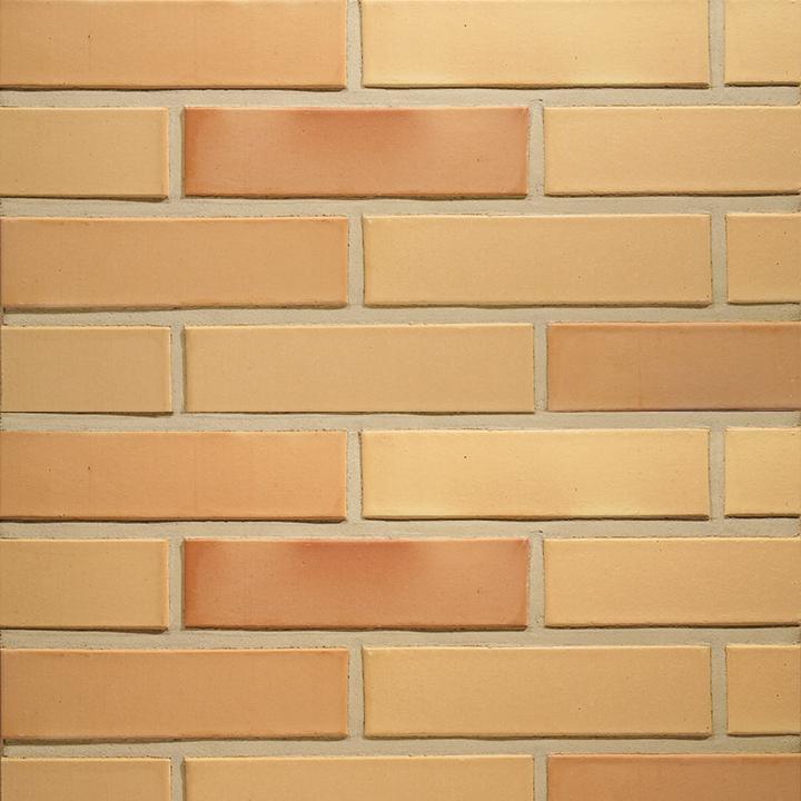 Rosso гладкий 250x85x65 (FAT) пустотелый Rosso гладкий 250x85x65 (FAT) пустотелый