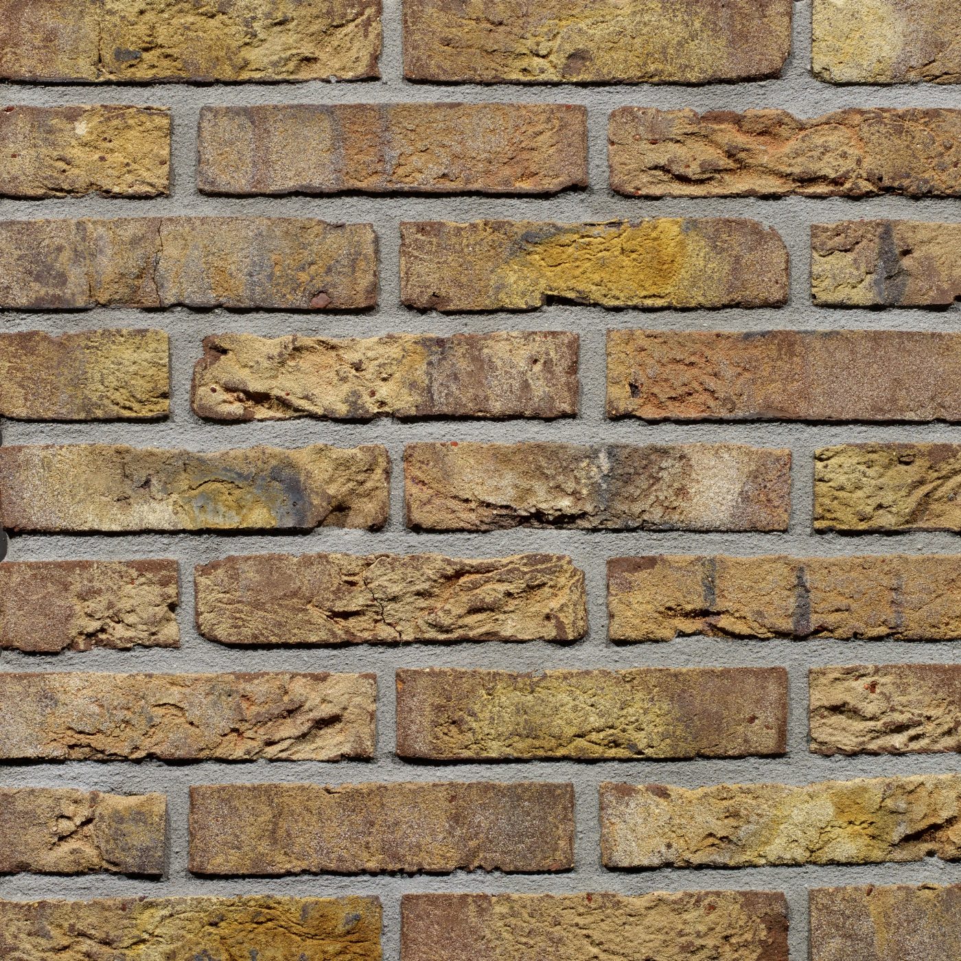 NL_MKT_PHO_PSH_MEERVOUDIG_11492800_Roombeek_HV_WF_Vlijt