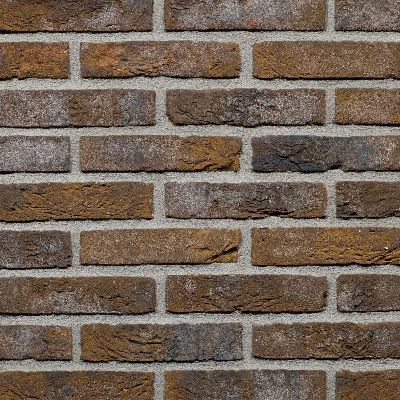 NL_MKT_PHO_PSH_MEERVOUDIG_11492900_Spangen_HV_WF_Vlijt