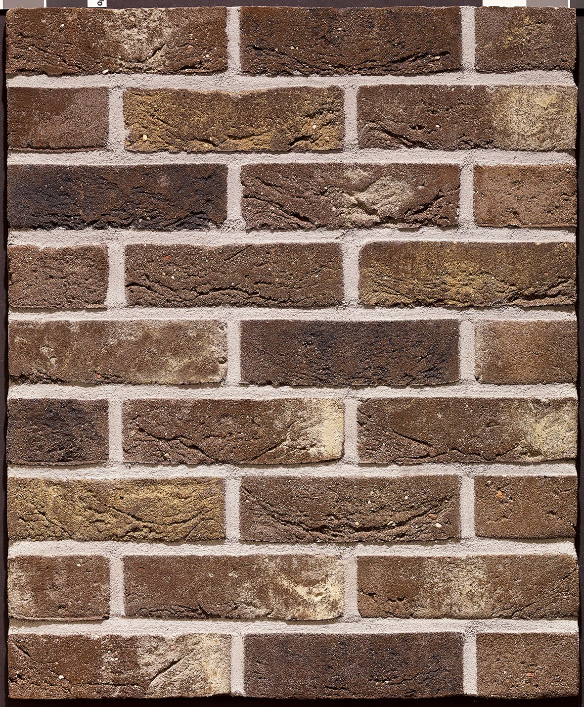 e9019645f2d085b099e3da3d034758b5